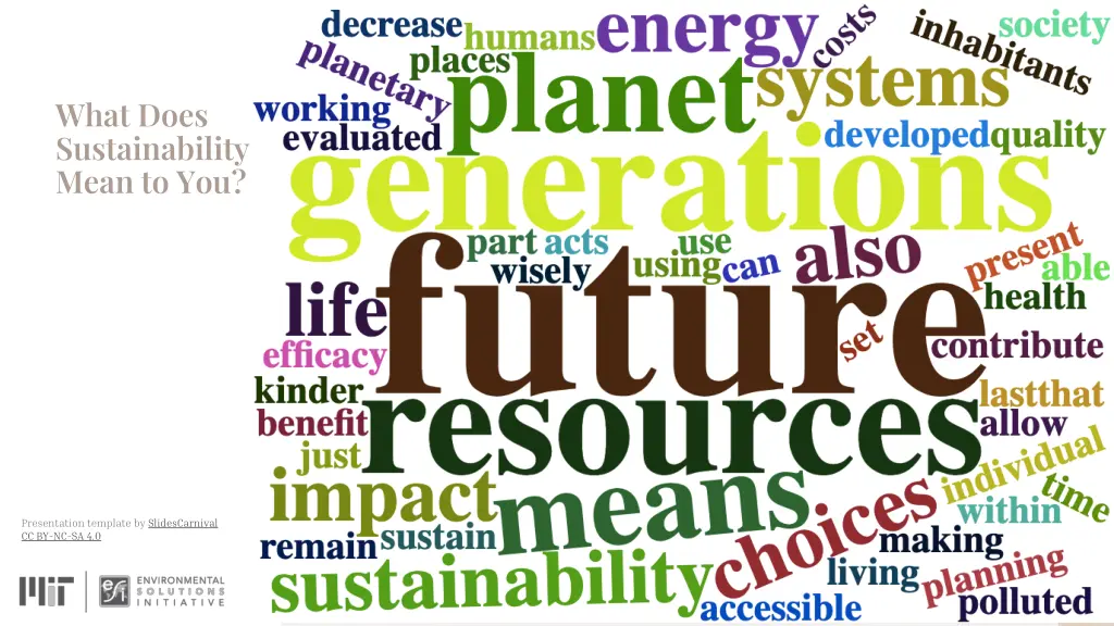 what does sustainability mean to you
