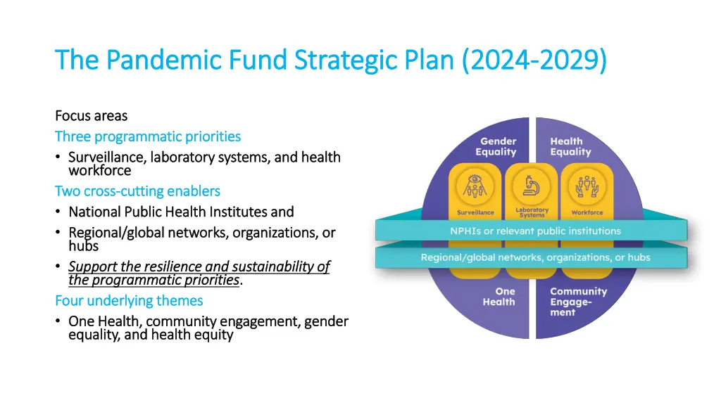 the pandemic fund strategic plan 2024 1