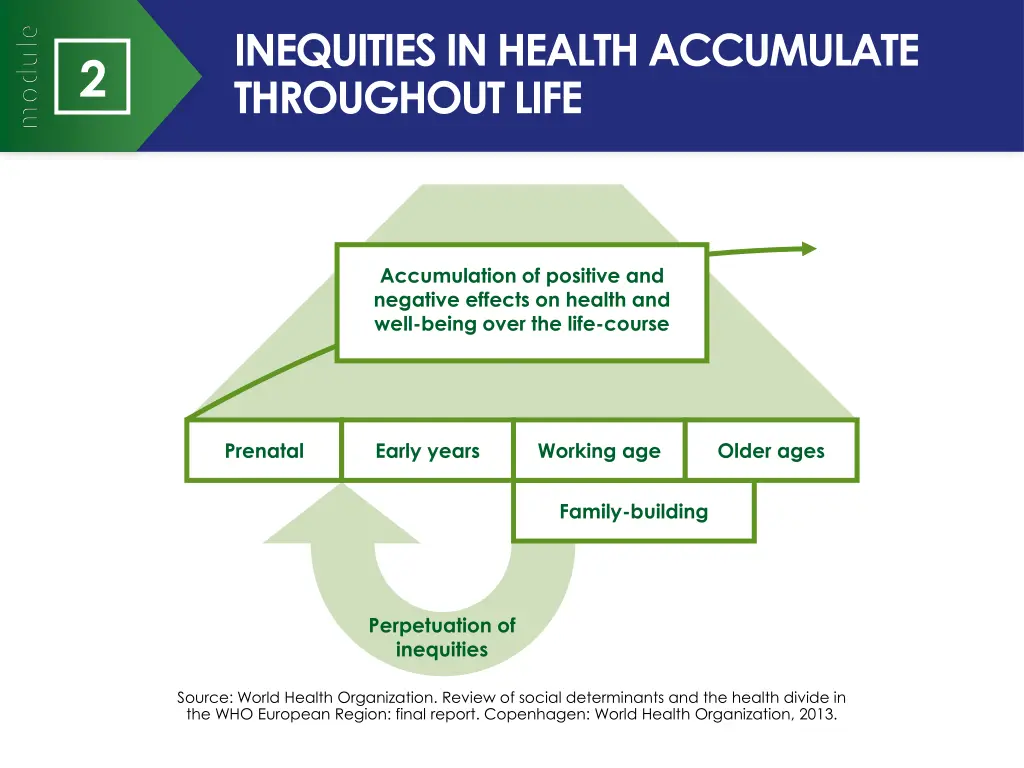inequities in health accumulate throughout life