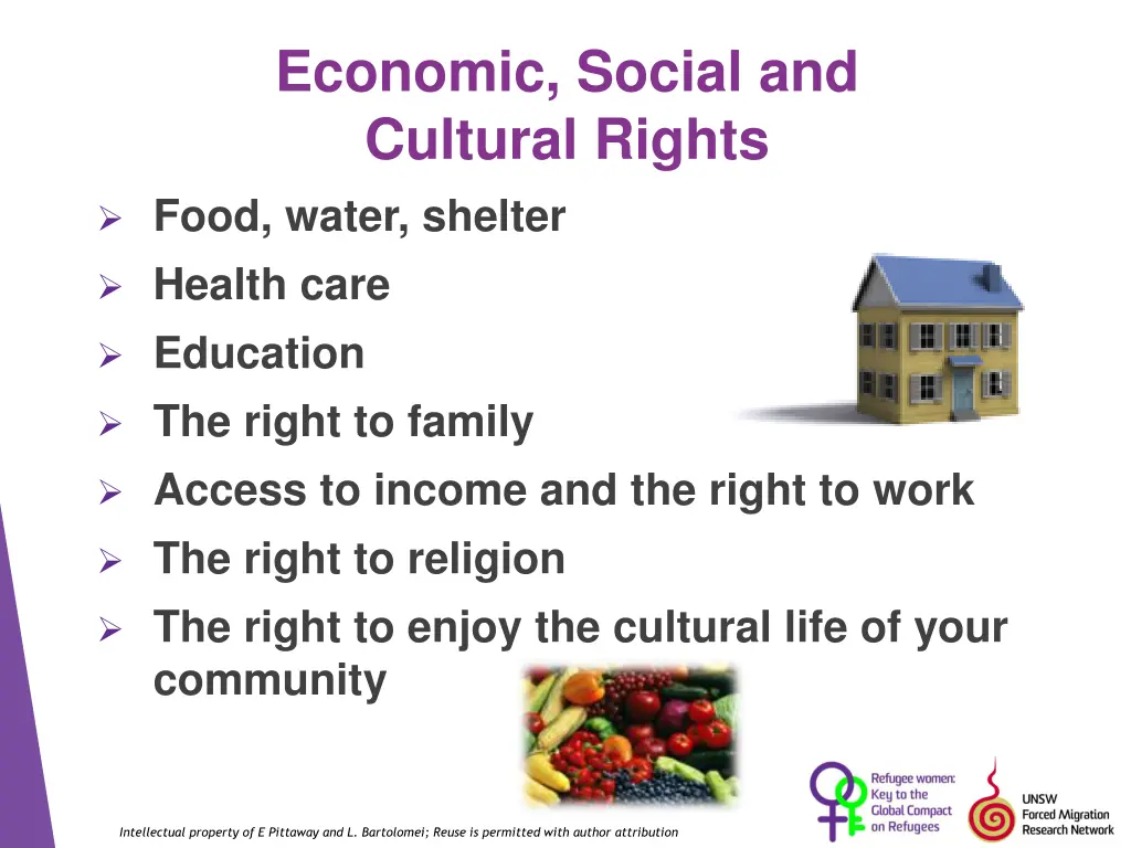 economic social and cultural rights food water