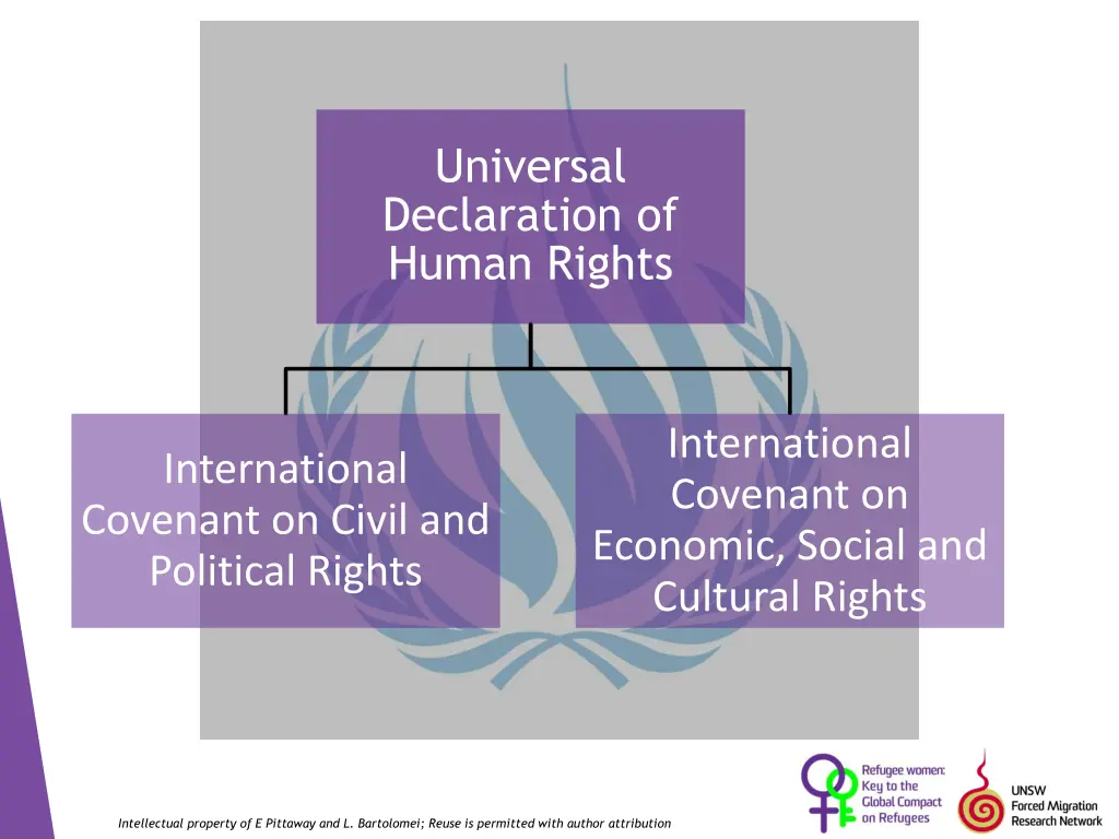 universal declaration of human rights
