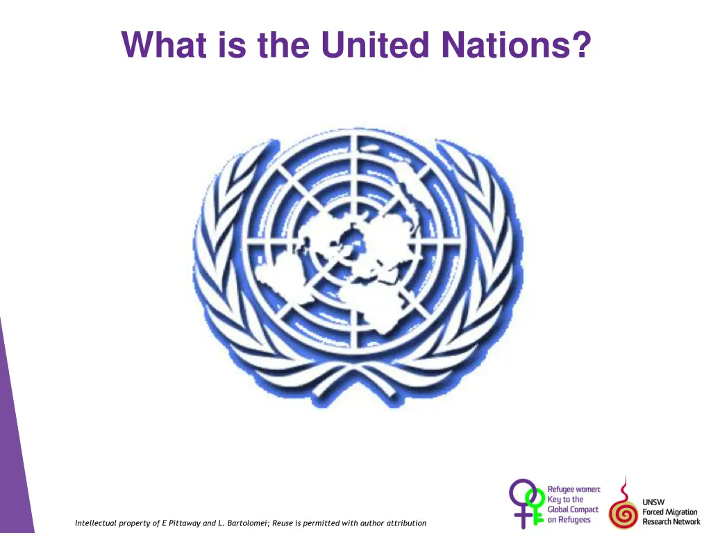 what is the united nations