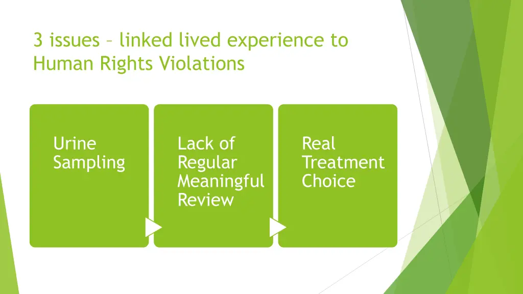 3 issues linked lived experience to human rights