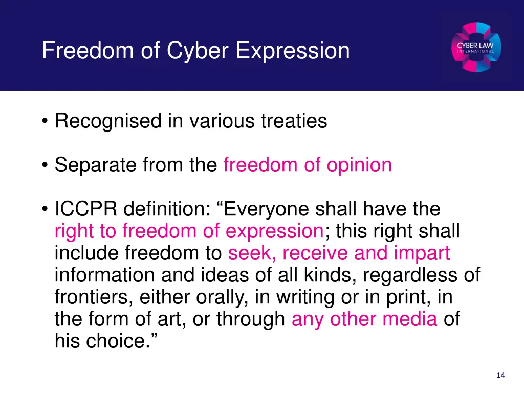 freedom of cyber expression