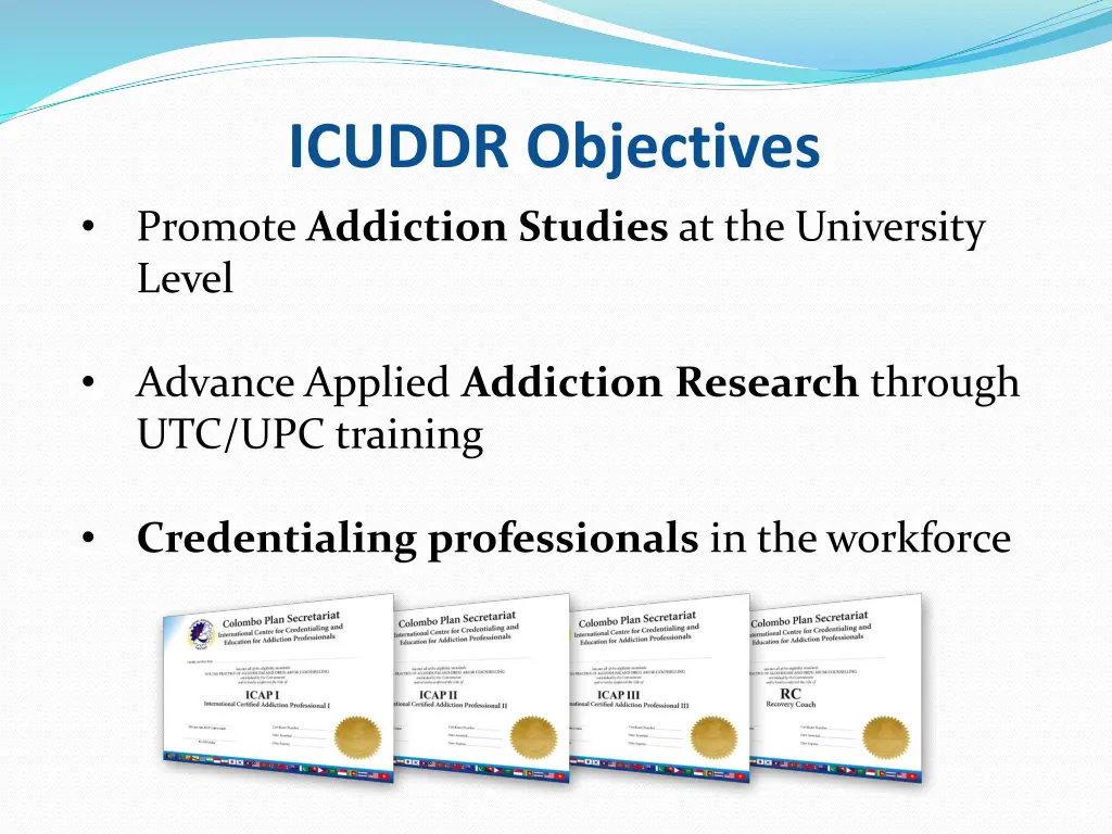 icuddr objectives
