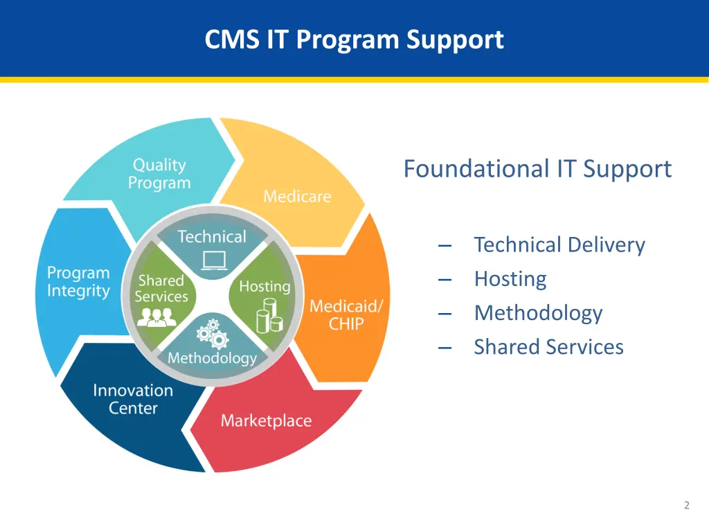 cms it program support