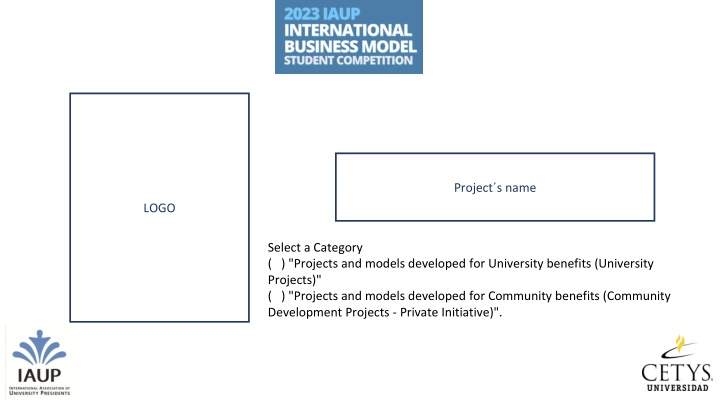 project s name