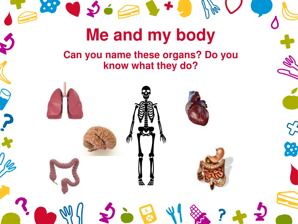 me and my body