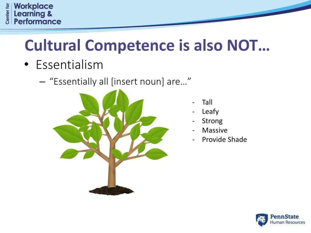 cultural competence is also not essentialism