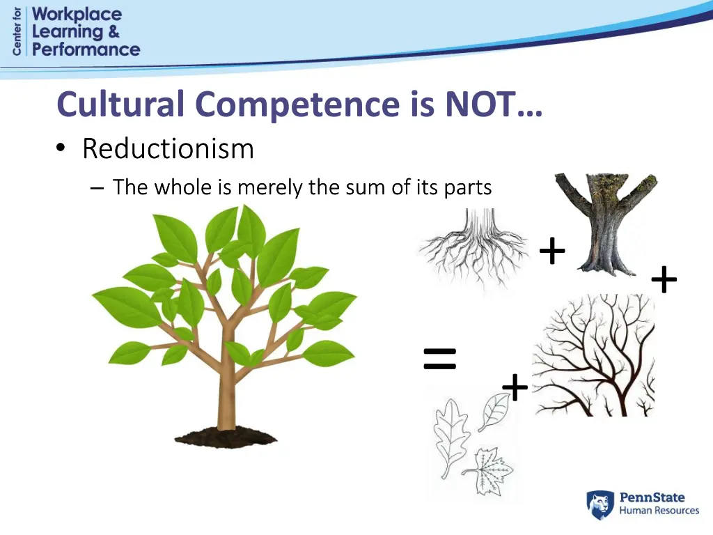 cultural competence is not reductionism the whole