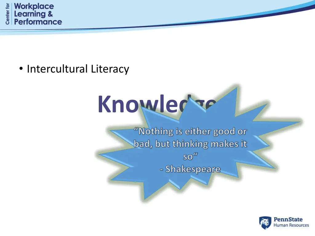 intercultural literacy