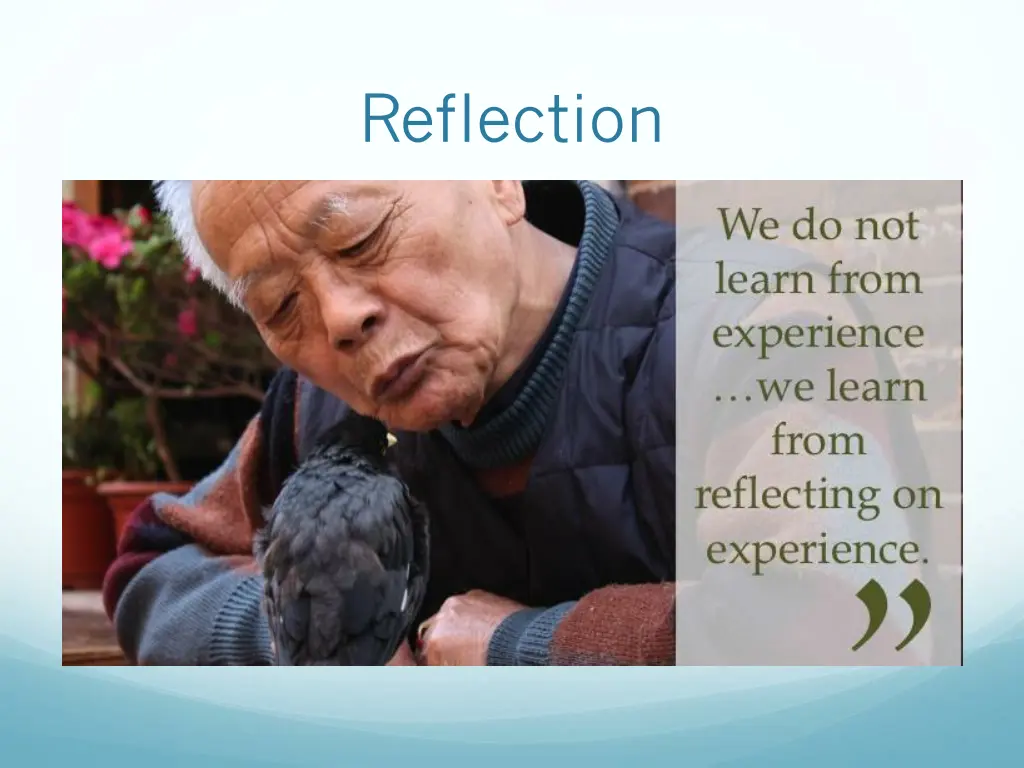 reflection