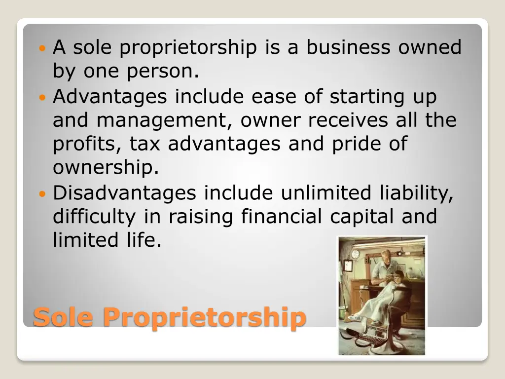 a sole proprietorship is a business owned