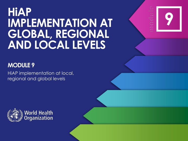 hiap implementation at global regional and local