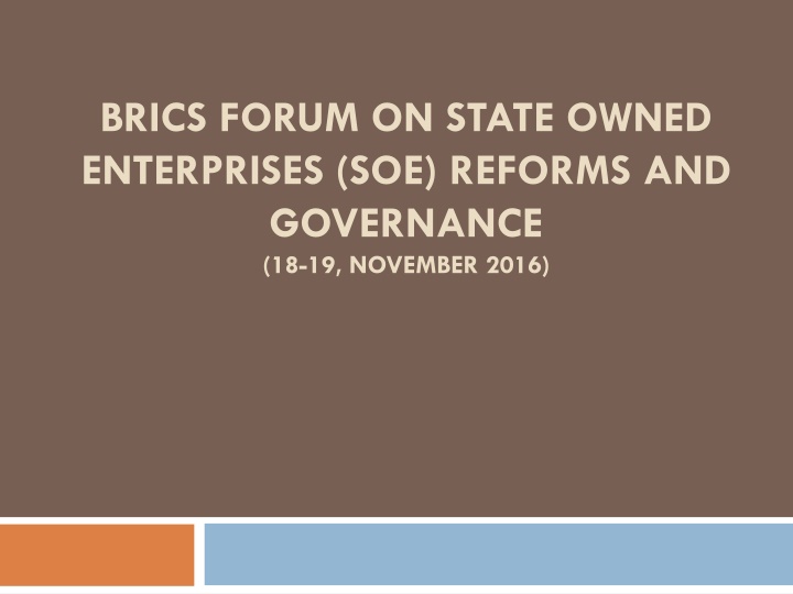 brics forum on state owned enterprises