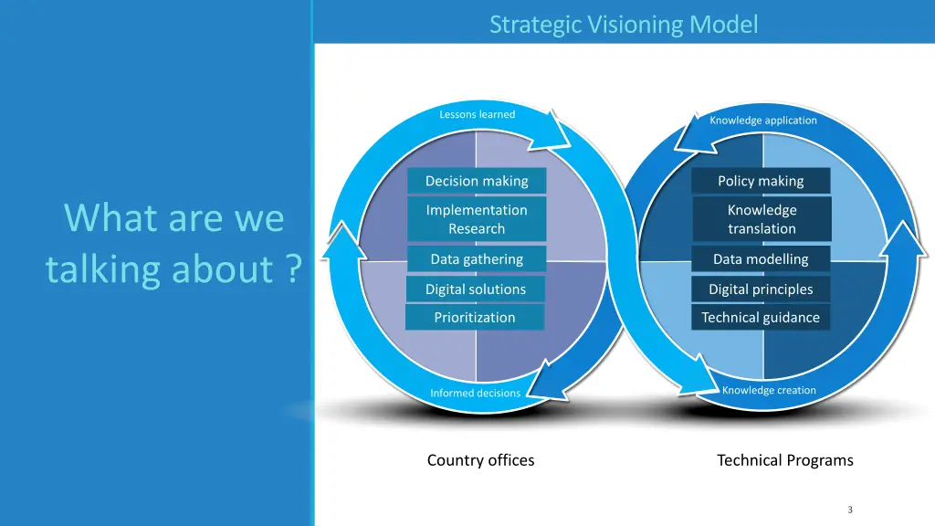 strategic visioning model