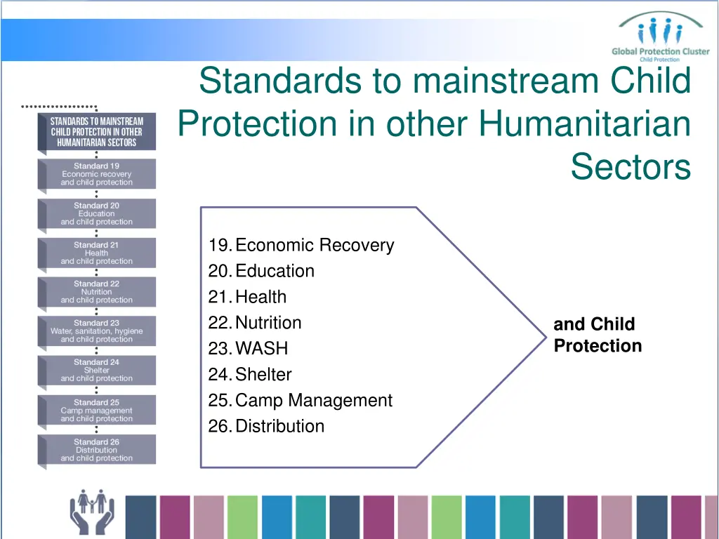 standards to mainstream child protection in other