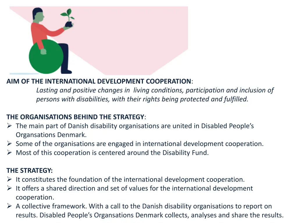 aim of the international development cooperation