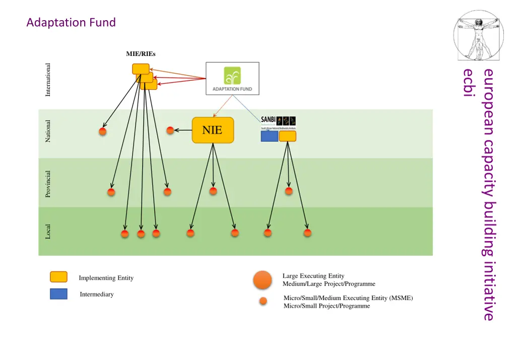 adaptation fund