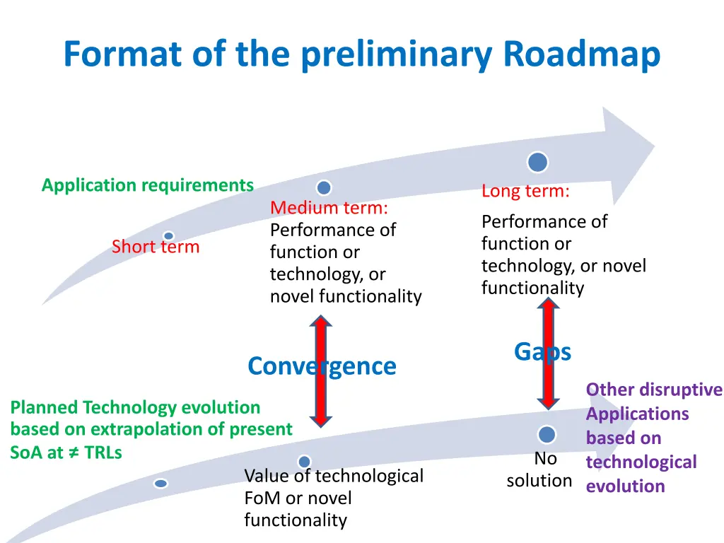 format of the preliminary roadmap