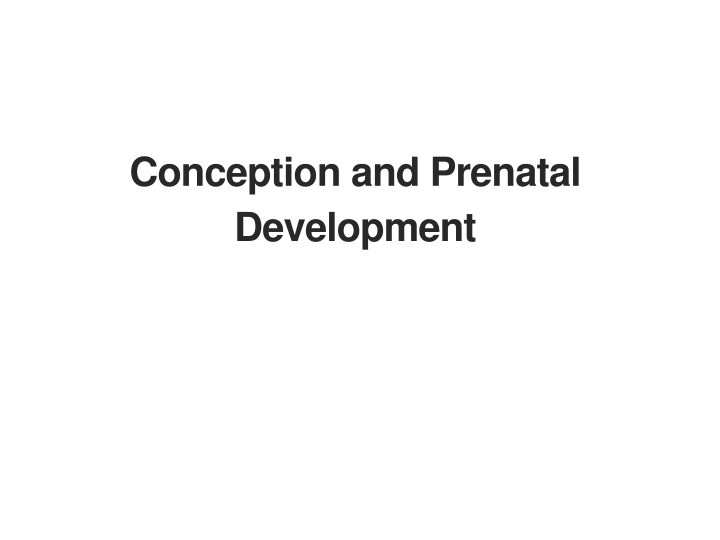 conception and prenatal development