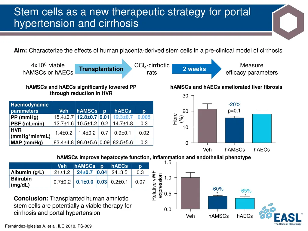 stem cells as a new therapeutic strategy