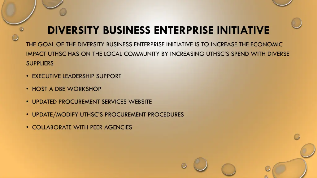diversity business enterprise initiative