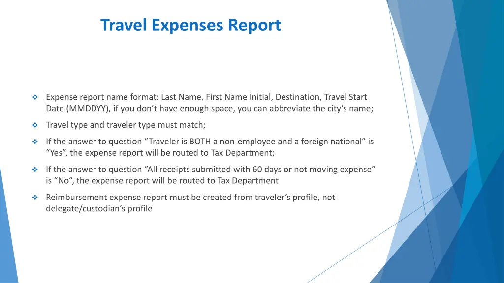 travel expenses report 1