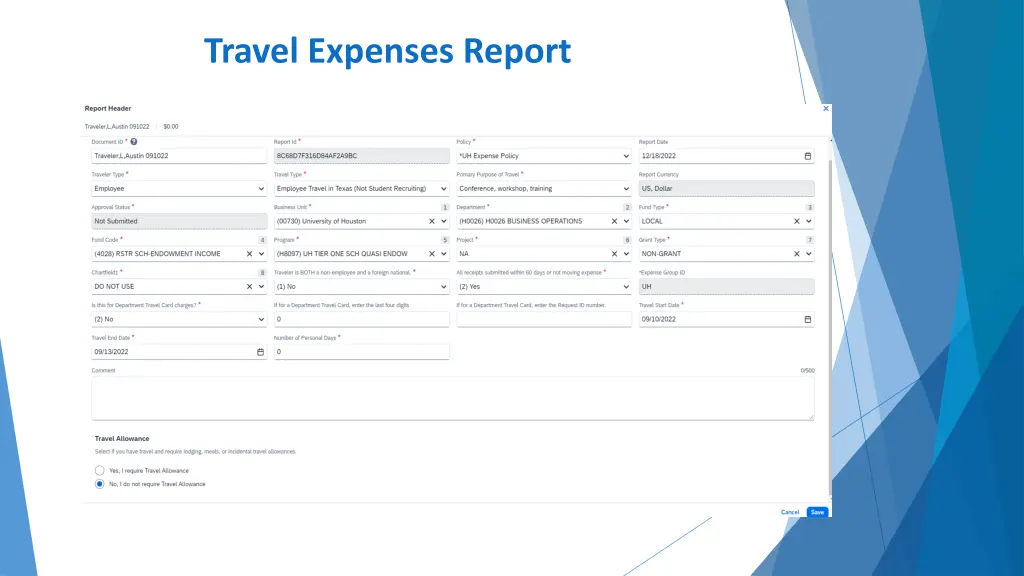 travel expenses report