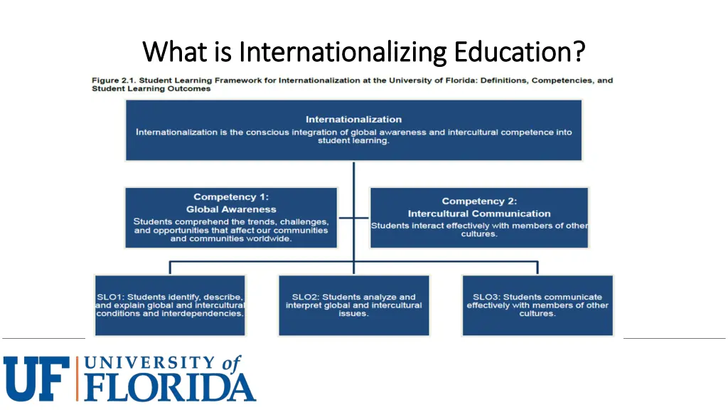 what is internationalizing education what
