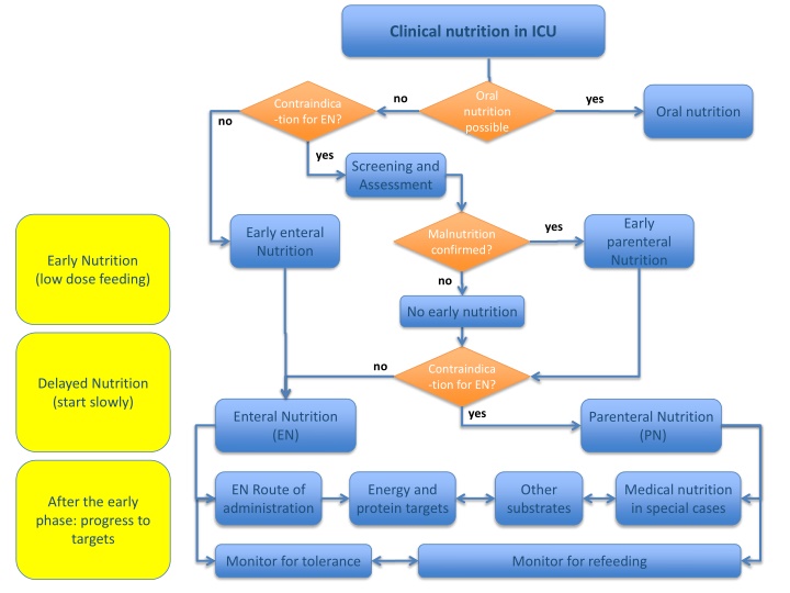 clinical nutrition in icu