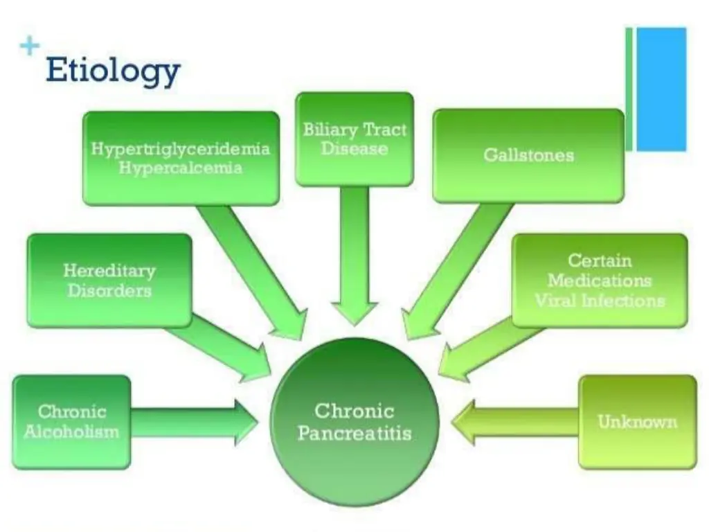 slide17