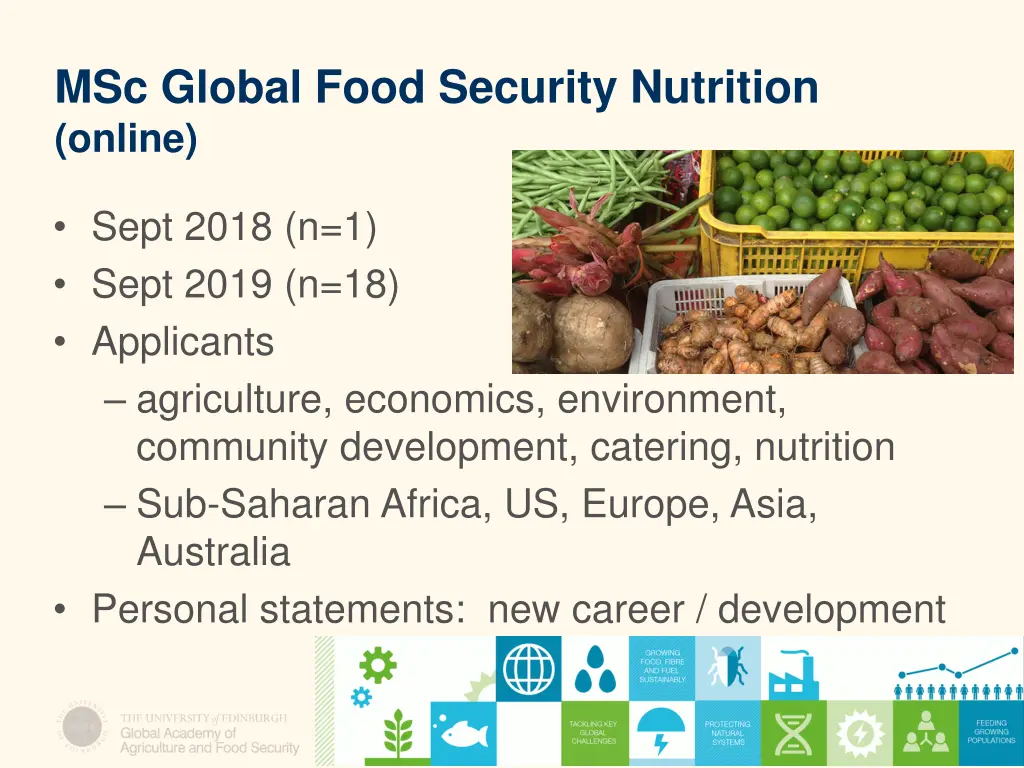 msc global food security nutrition online