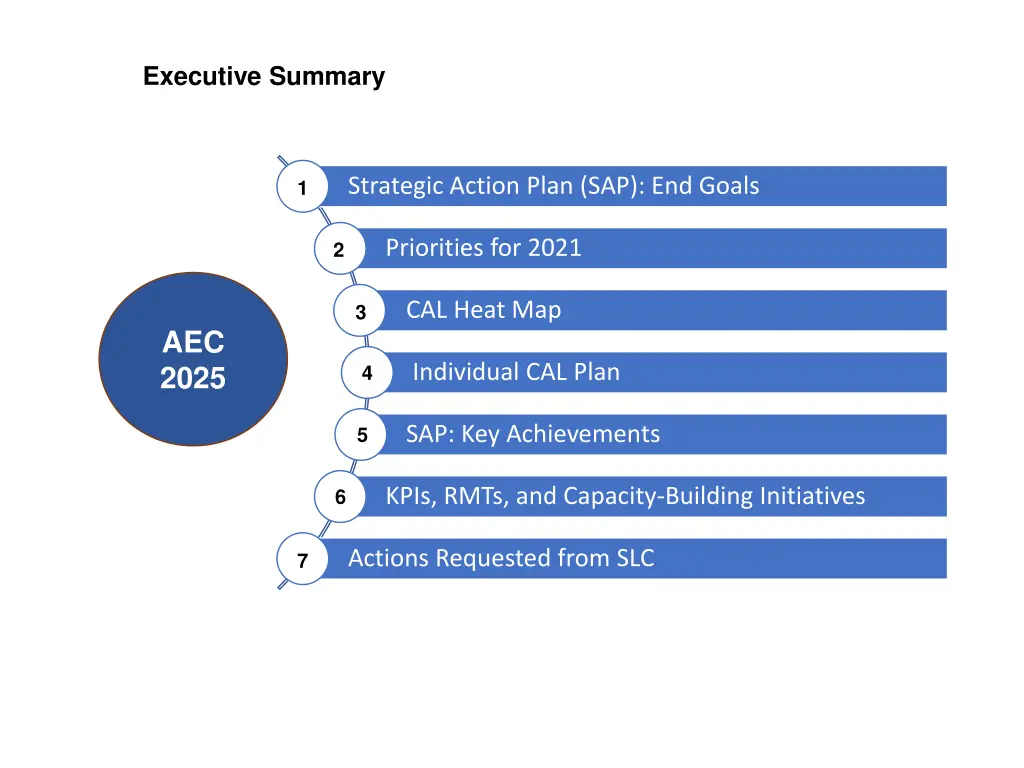 executive summary