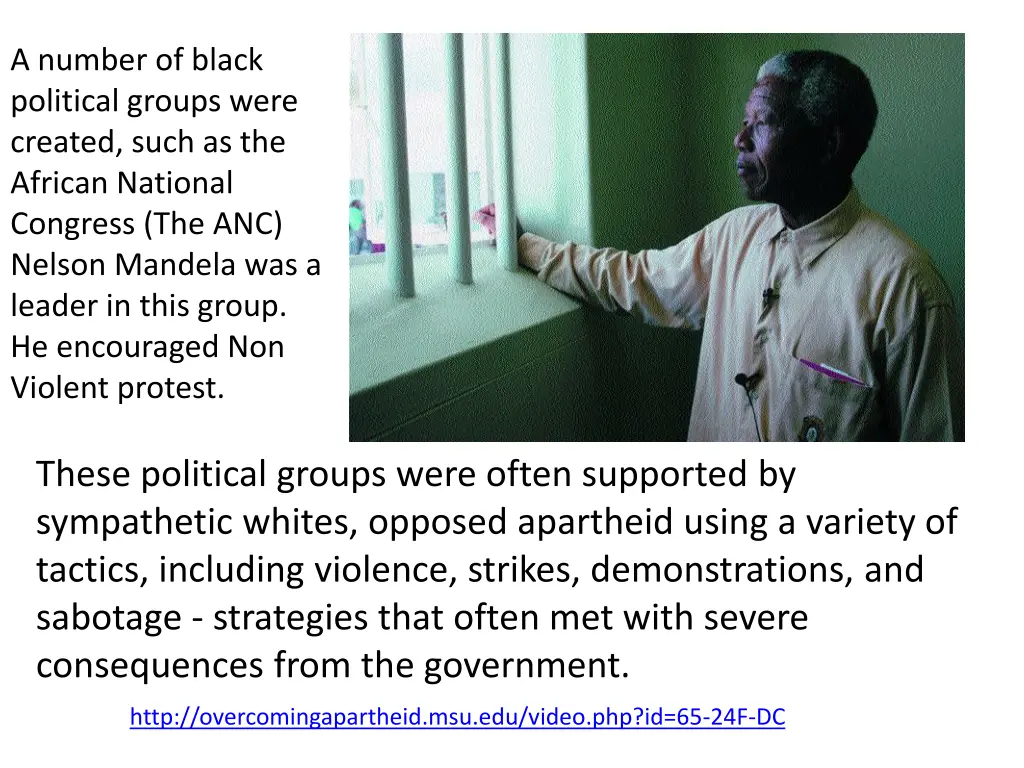 a number of black political groups were created