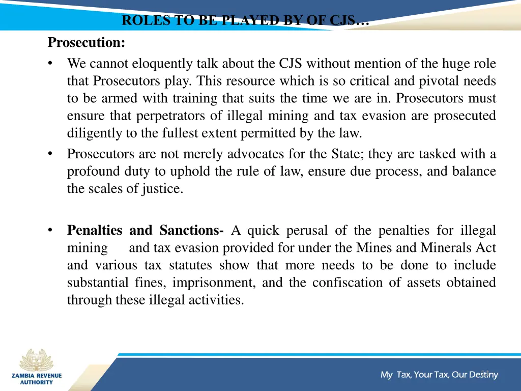 roles to be played by of cjs prosecution