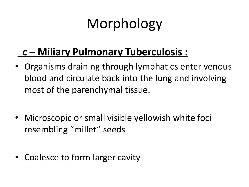 morphology 2