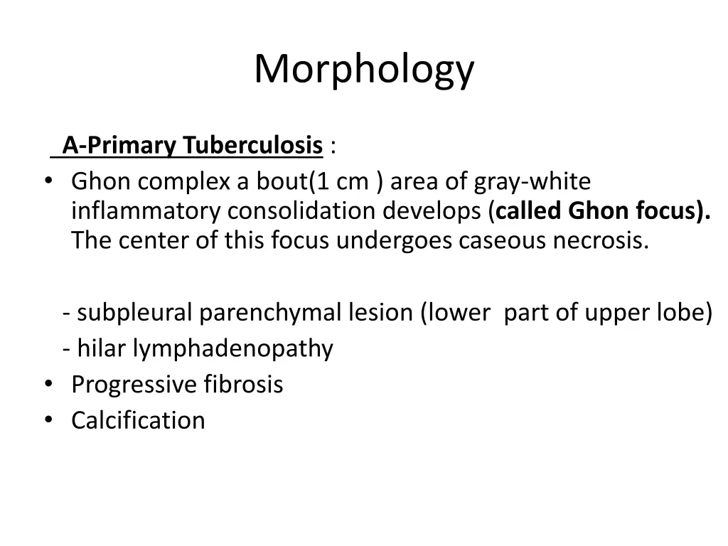 morphology