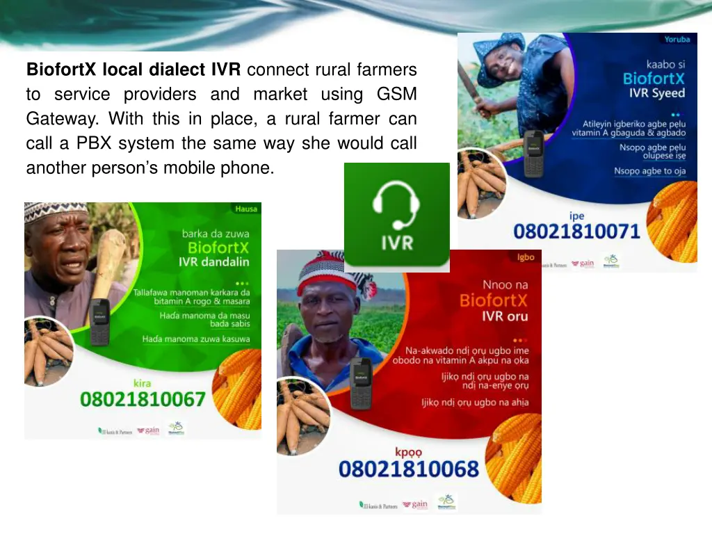 biofortx local dialect ivr connect rural farmers