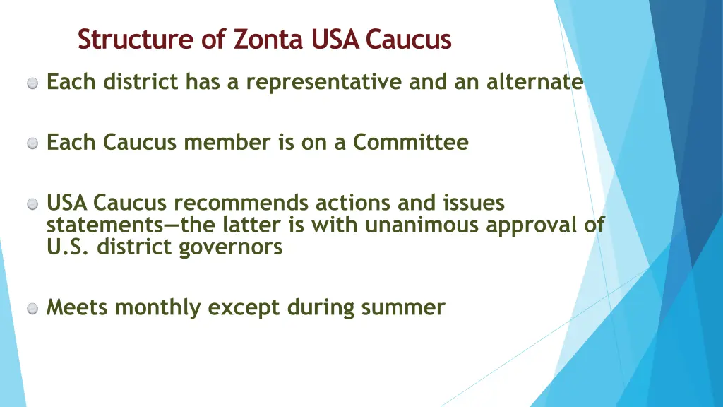 structure of zonta usa caucus