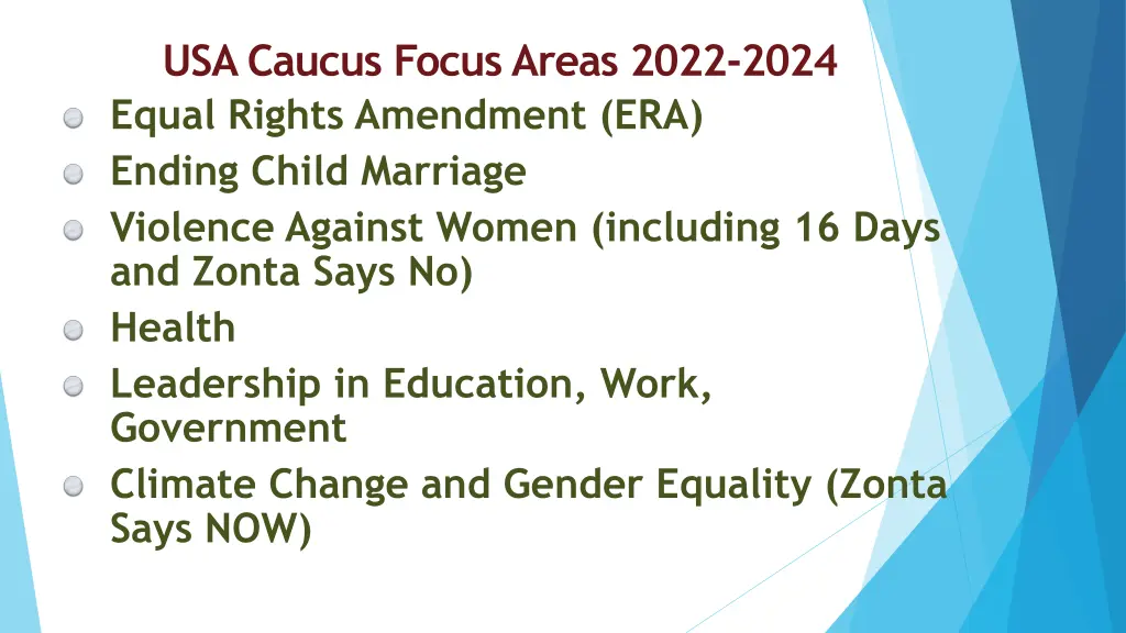 usa caucus focus areas 2022 2024 equal rights