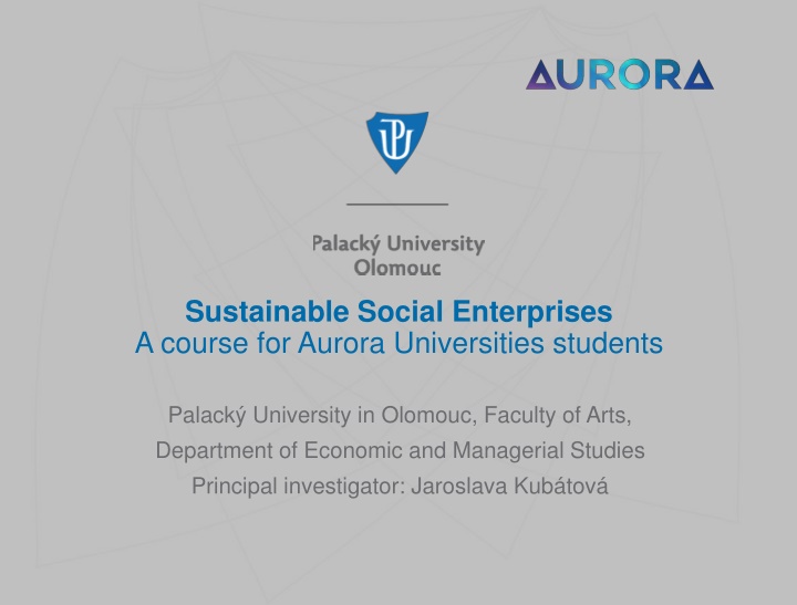 sustainable social enterprises a course