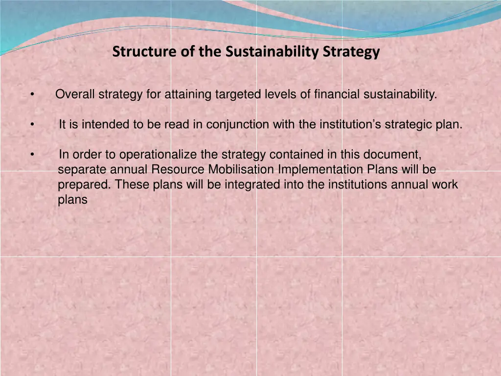 structure of the sustainability strategy