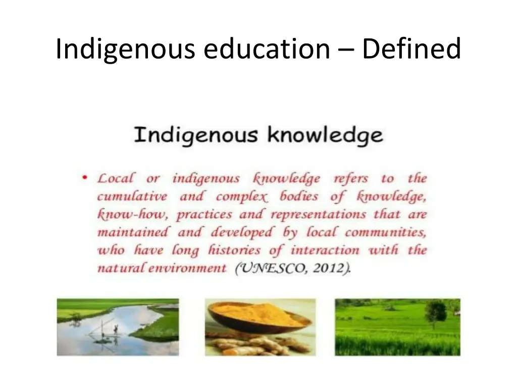 indigenous education defined