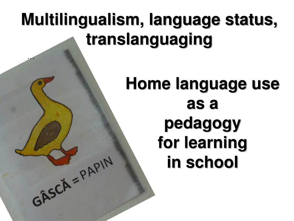 multilingualism language status translanguaging