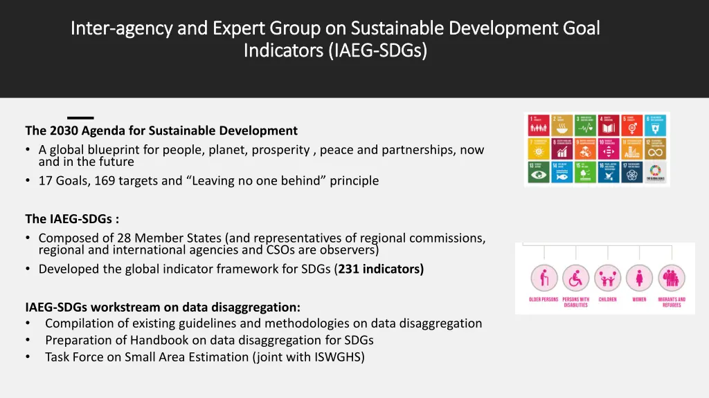 inter inter agency and expert group