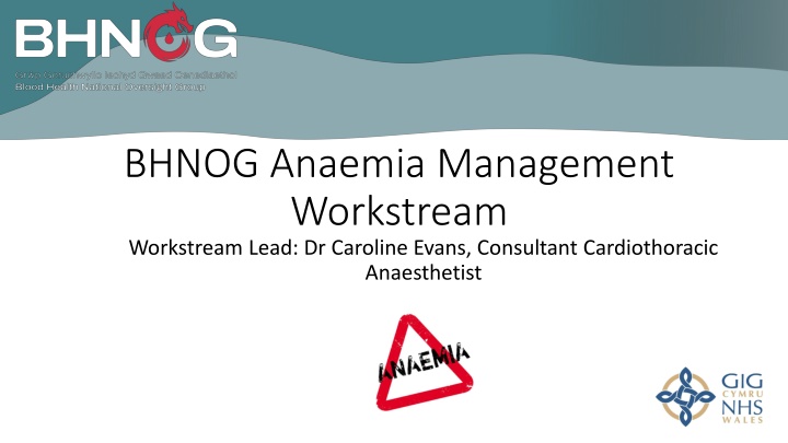 bhnog anaemia management workstream workstream