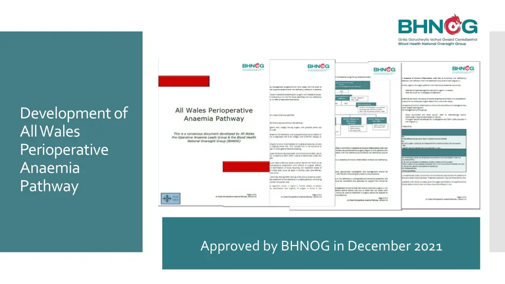 development of all wales perioperative anaemia