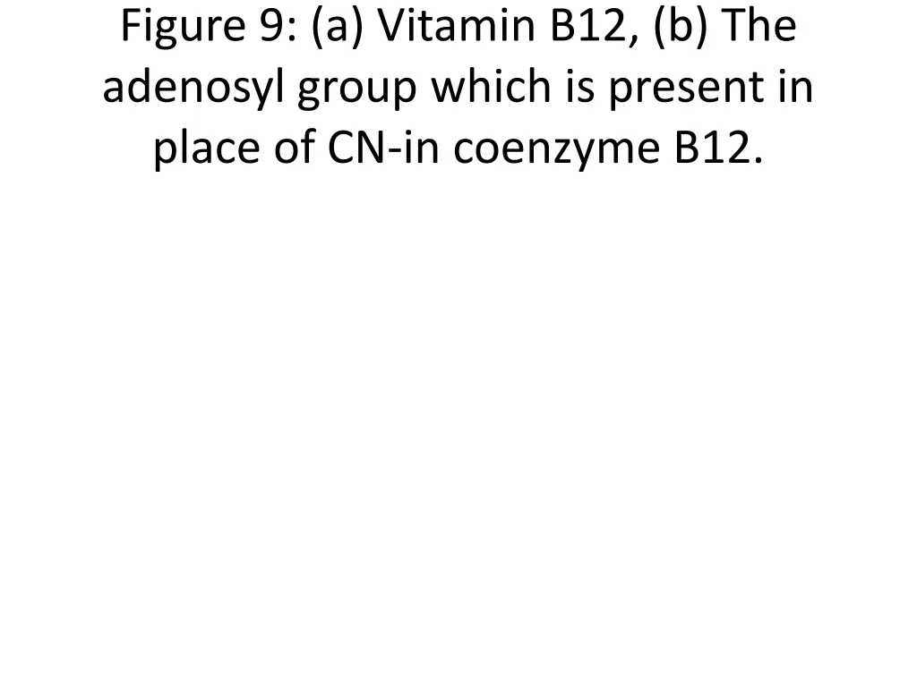 figure 9 a vitamin b12 b the adenosyl group which