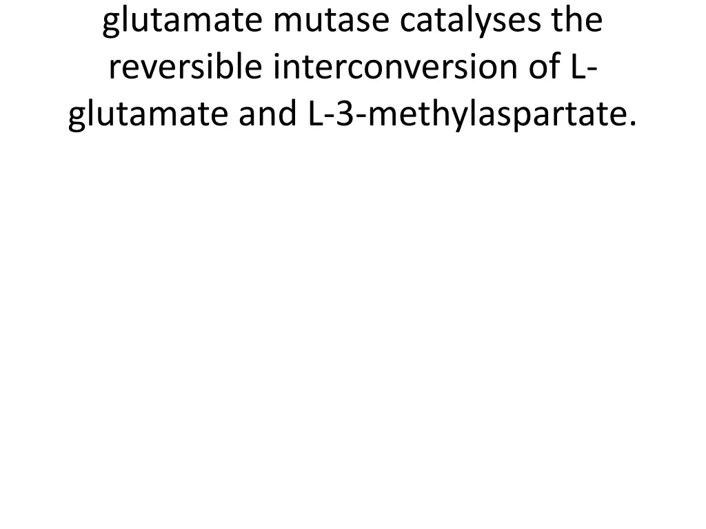 glutamate mutase catalyses the reversible